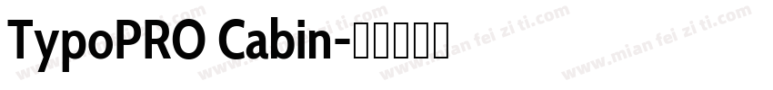 TypoPRO Cabin字体转换